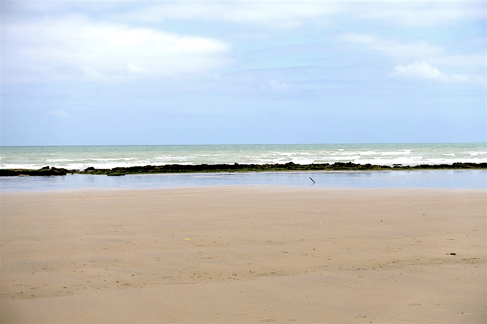 Wenn sich bei Ebbe das Meer zurückzieht, wird der Spülsaum zugänglich