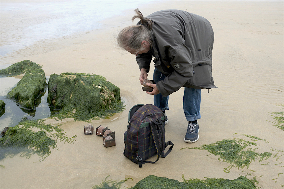 Aufbau der blupps in eine Zone aus grün bewachsenen Steinbrocken und Sand