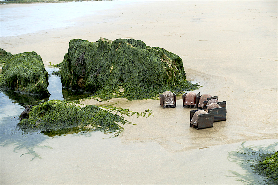 blupps in einem Strandabschnitt flachen Standabschnitt zwischen den bewachsenen Steinbrocken