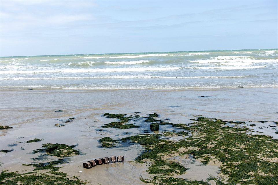 blupps in halbkreisförmige Formation nahe der Wasserlinie