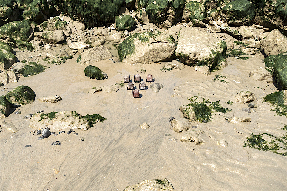 blupps in keilförmiger Formation in der Steinzone