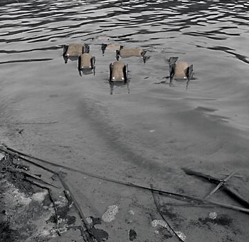 HD Heckes, Foto: blupps im Halensee, Berlin, 1980